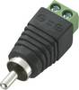 Cinch/RCA mâle, droit TRU COMPONENTS LT-RAC-DC 735875 Nombre de pôles: 2 noir 1 pc(s)