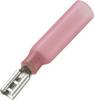 Cosse clip 2.8 mm x 0.8 mm Conrad Components 241132M avec gaine thermorétractable 180 ° partiellement isolé rouge 50 pc(s)