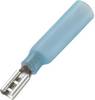 Cosse clip 2.8 mm x 0.8 mm Conrad Components 242132M avec gaine thermorétractable 180 ° partiellement isolé bleu 30 pc(s)