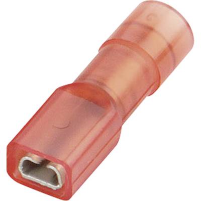 Cosse clip 2.8 mm x 0.5 mm Vogt Verbindungstechnik 396005  180 ° entièrement isolé rouge 1 pc(s) 