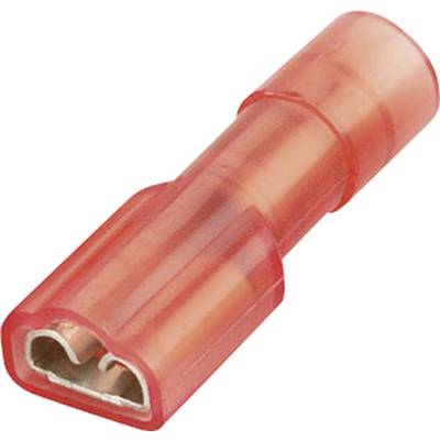 Cosse clip 4.8 mm x 0.5 mm Vogt Verbindungstechnik 396405  180 ° entièrement isolé rouge 1 pc(s) 