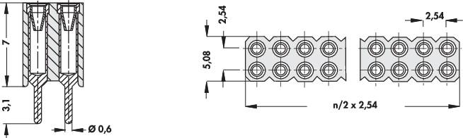 Diagramme d'un connecteur électrique. À gauche : Vue latérale avec dimensions. À droite : Vue de dessus de plusieurs douilles rondes. Dimensions en millimètres.