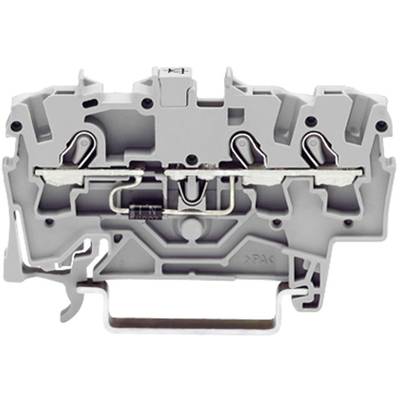 Bloc de connexion électrique gris-blanc avec des bornes métalliques et des vis pour raccorder des câbles dans les armoires électriques.