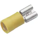 Cosse clip 6.3 mm x 0.8 mm Cimco 180234 180 ° partiellement isolé jaune 1 pc(s)