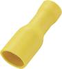 Cosse clip 4.8 mm x 0.5 mm TRU COMPONENTS FDFD5.5-187(5) 180 ° entièrement isolé jaune 50 pc(s)