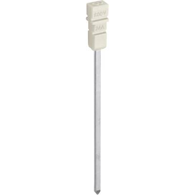 Petit fusible blanc avec l'inscription '300V' et '2A', monté sur une tige métallique.