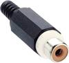 Cinch/RCA femelle, droit Lumberg XKTO 1-WH Nombre de pôles: 2 blanc 1 pc(s)