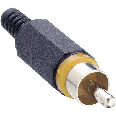 Connecteur RCA noir avec anneau orange et embout métallique pour la connexion d'appareils audio électriques.