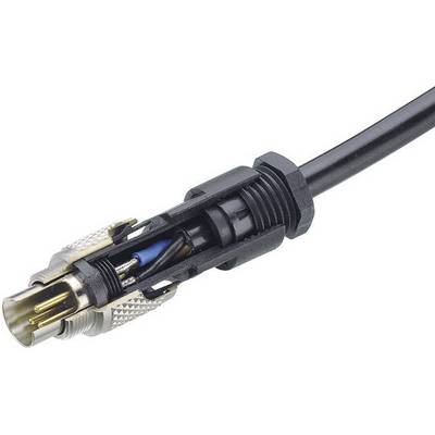 Un connecteur coaxial ouvert montre le câblage interne avec une broche métallique centrale et un revêtement métallique pour la transmission de signal.