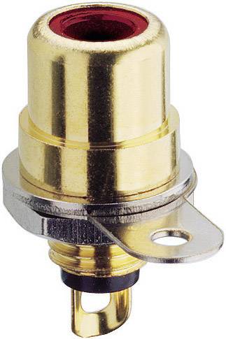 Boîtier de haut-parleur doré avec anneau en plastique rouge, adapté pour connexion audio ; de haute qualité et durable.