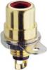 Lumberg BTO 1 V-RD Cinch/RCA embase femelle, verticale Nombre de pôles: 2 rouge 1 pc(s)