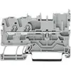 Borne de base WAGO 2022-1301 5.20 mm ressort de traction Affectation: L gris 1 pc(s)