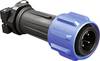 Bulgin PX0911/03/P Cosse cylindrique mâle mâle, droit Nombre total de pôles: 3 Série (connecteur rond): PX09 1 pc(s)