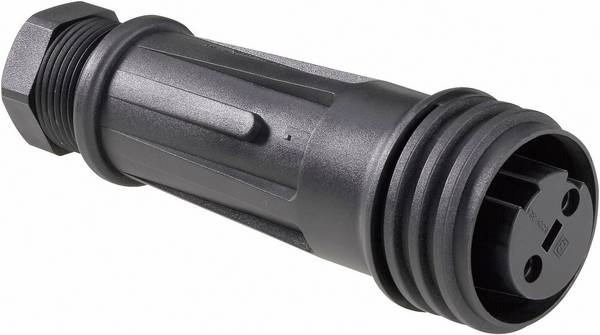 Bulgin  PX0921/04/S  Cosse cylindrique mâle  femelle, droit  Nombre total de pôles: 4  Série (connecteur rond): PX    1 pc(s)