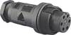 Bulgin PX0801 Cosse cylindrique mâle embase mâle Série (connecteur rond): PX08 1 pc(s)