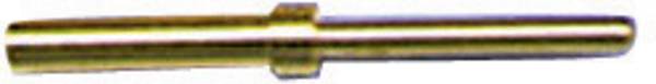 Bulgin  SA3180/1  Contact unique pour connecteurs circulaires  Contact mâle    Série (connecteur rond): SA    10 pc(s)