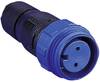 Bulgin PX0411/02S/5560 Cosse cylindrique mâle mâle, droit Nombre total de pôles: 2 Série (connecteur rond): PX04 1 pc(s)