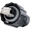 Set de connecteurs RJ45 Conec 17-100464 Contenu: 1 pc(s)