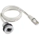 Embase RJ45 femelle Schlegel RRJ_RJ45 RJ45 embase femelle, mâle, droit Pôle: 8P8C gris 1 pc(s)