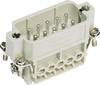 HARTING 09200102612 Insert mâle Han® A 10 + PE raccord à vis 10 pc(s)