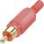 Connecteur RCA rouge avec embout doré, couramment utilisé pour la transmission audio et vidéo.