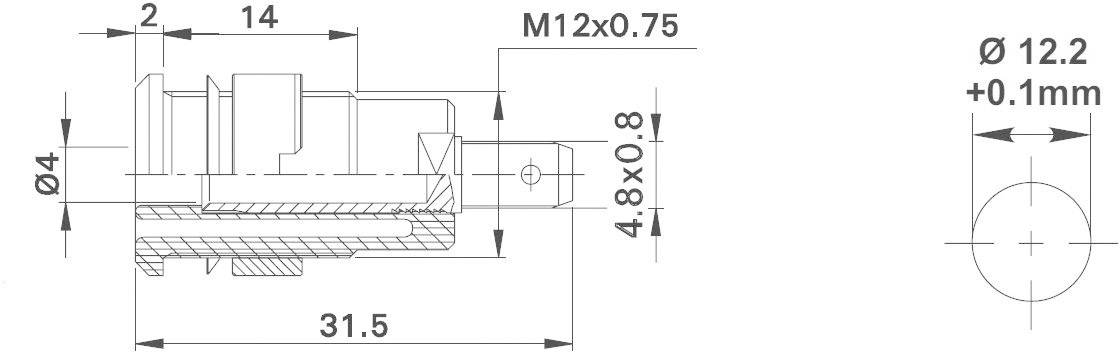 'Coupe schématique d'un objet cylindrique avec filetage M12x0,75, longueur totale de 31,5 mm, alésage de diamètre 12,2 +0,1 mm.'