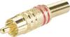 Cinch/RCA mâle, droit BKL Electronic 0101007 Nombre de pôles: 2 rouge 1 pc(s)