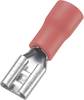 Cosse clip 4.8 mm x 0.8 mm TRU COMPONENTS FDD1.25-187(8) 180 ° partiellement isolé rouge 100 pc(s)