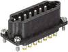 HARTING 09700142614 Insert mâle Han® Staf 14 raccord à vis 10 pc(s)
