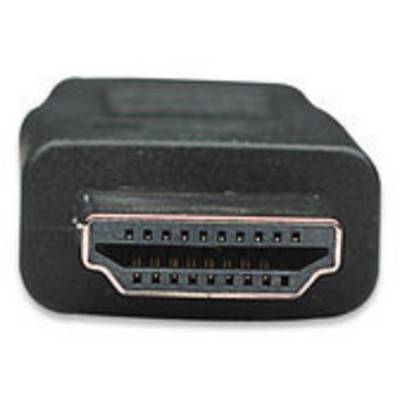 Une fiche HDMI, noire, montre le côté avec les broches de connexion visibles. Utilisée pour la transmission de signaux audio et vidéo.