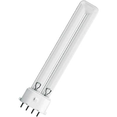 Une lampe fluorescence compacte blanche unique avec quatre broches à la base, sur un fond blanc.