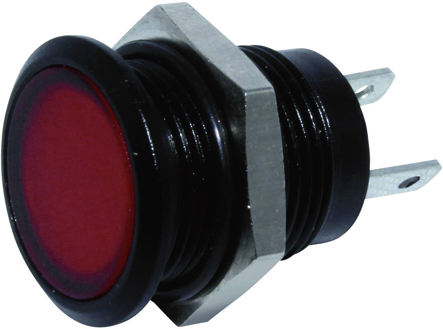 Bouton-poussoir rouge avec un bord noir circulaire, vue de côté. Deux contacts métalliques visibles, adapté pour les circuits électriques.