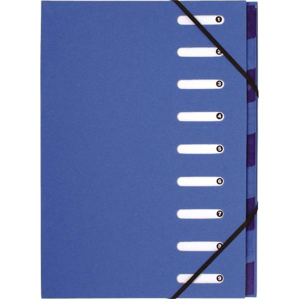 Exacompta EXACOMPTA 52982E Trieur-0