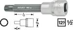 Douille-embout denture multiple (XZN) 14 mm Longueur: 100 mm Propulseur: 1/2