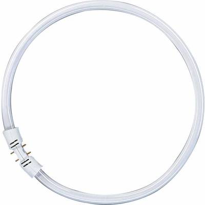 OSRAM Tube fluorescent CEE 2021: G (A - G) 2GX13 40 W blanc neutre 840 forme d'anneau (Ø x L) 16 mm x 305 mm  1 pc(s)