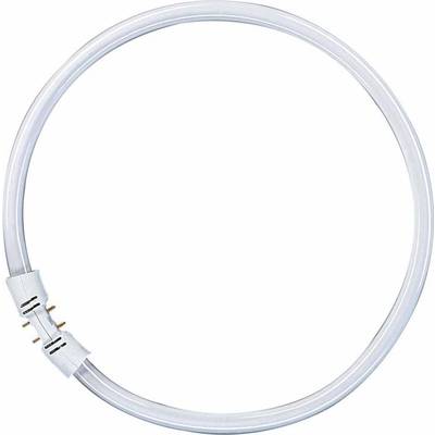 OSRAM Tube fluorescent CEE 2021: G (A - G) 2GX13 40 W blanc neutre 840 forme d'anneau (Ø x L) 16 mm x 305 mm 1 pc(s)