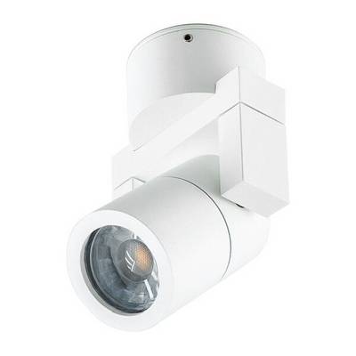 Plafonnier blanc avec spot cylindrique et réglable, adapté pour un éclairage ciblé dans les espaces intérieurs.