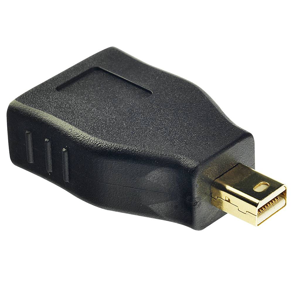 LINDY 41077 Mini-Display / DisplayPort Adaptateur [1x Mini port Display mâle - 1x DisplayPort femelle] noir-1