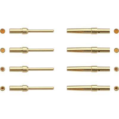 Huit stylos dorés à pointes, disposés de manière uniforme en deux rangées verticales. Chaque rangée comprend quatre stylos.