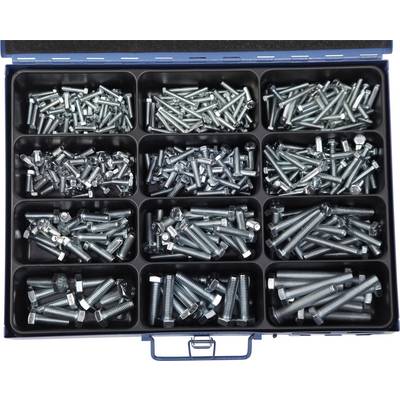 Une boîte à outils ouverte avec douze compartiments, remplie de différentes vis.