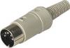 Connecteur rond DIN mâle, droit Hirschmann MAS 50 S 930 131-517-1 Nombre de pôles: 5 gris 1 pc(s)