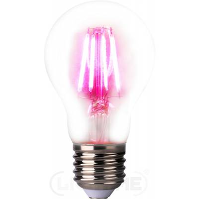 LightMe Ampoule LED pour plantes LM85320 109 mm 230 V E27 4 W   forme de poire  1 pc(s)