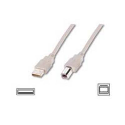 Digitus Câble USB USB 2.0 USB-A mâle, USB-B mâle 5.00 m beige rond, blindage double AK-300105-050-E-3