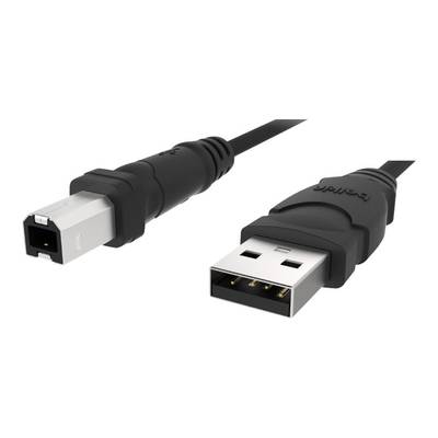 Belkin Câble USB USB 2.0 USB-A mâle, USB-B mâle 3.00 m gris  F3U133b10