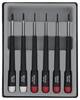 Donau Elektronik pour l'électronique et la mécanique de précision Jeu de tournevis 6 pièces cruciforme Phillips, vis Pozidriv