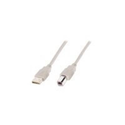 Digitus Câble USB USB 2.0 USB-A mâle, USB-B mâle 5.00 m beige rond, blindage double AK-300105-050-E-5