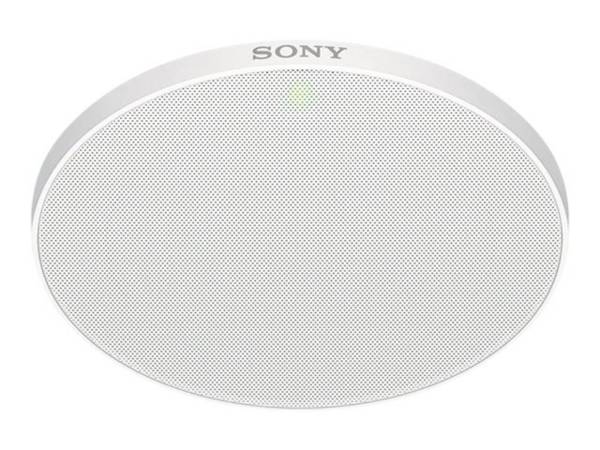 Beamforming microphone