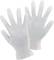 Une paire de gants jetables transparents en plastique, posés côte à côte, avec les bouts des doigts pointant vers le haut.