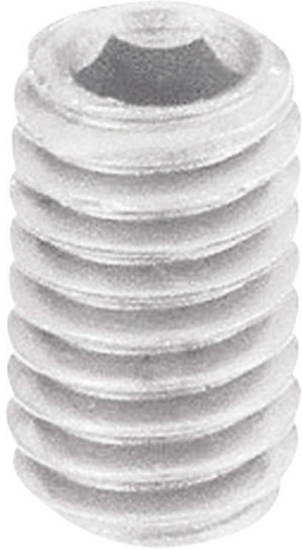 TOOLCRAFT  830378 Vis sans tête M5 10 mm Polyamide  10 pc(s)