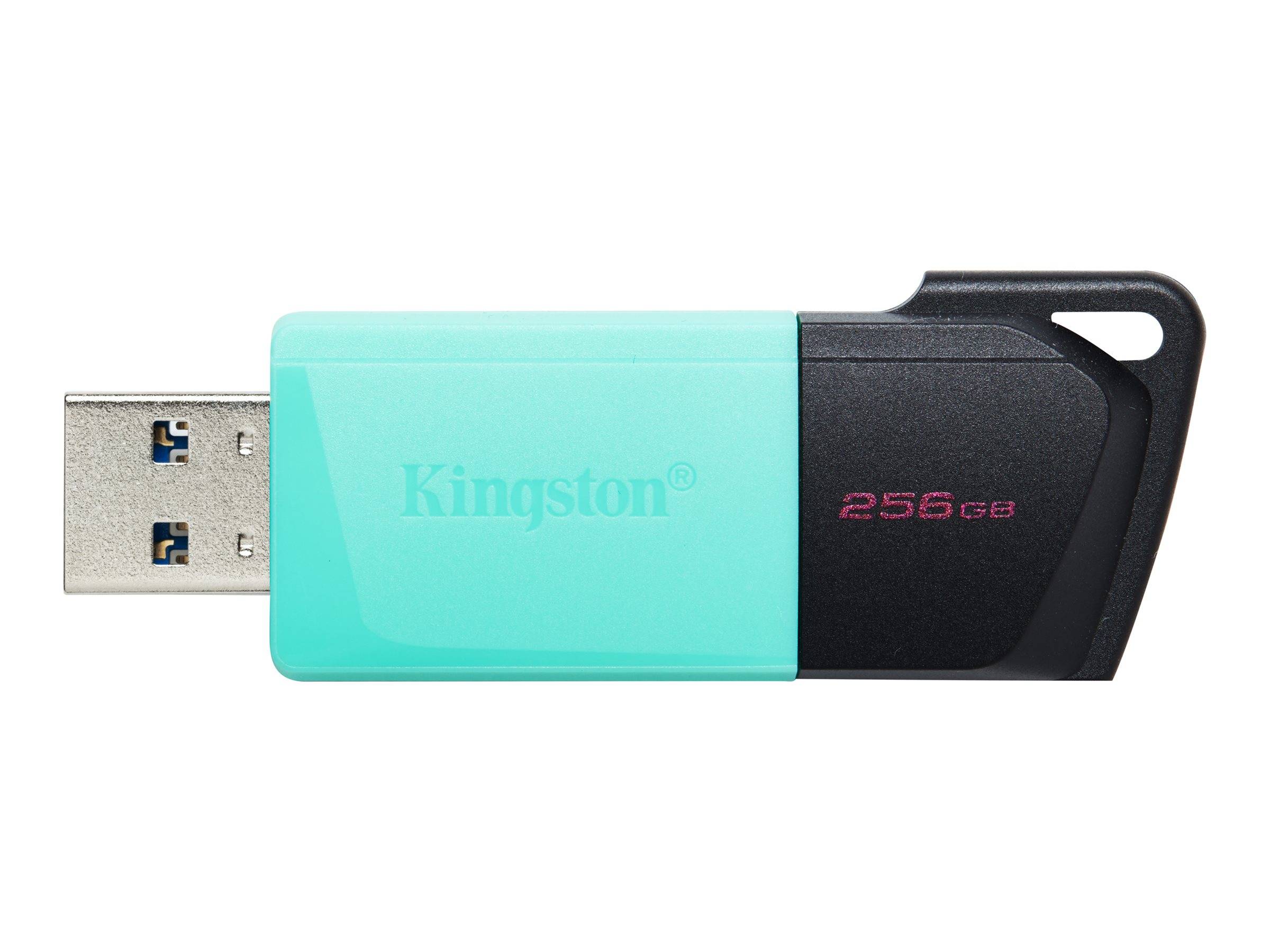 KINGSTON 256Go DataTraveler Exodia M-3